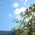 ホテル Hotel-pension Platzl 3*