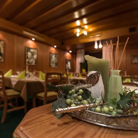 Hotel-pension Platzl Otel 3*