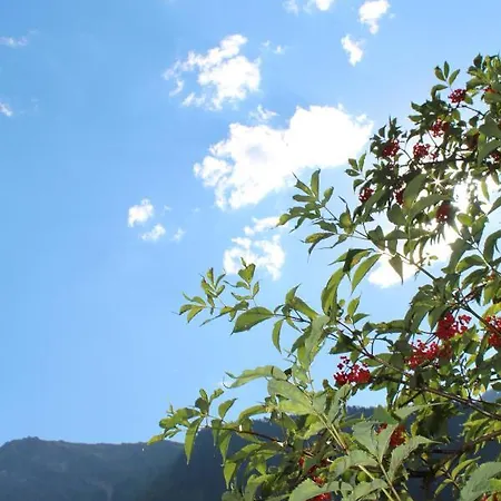 Hotel Hotel-pension Platzl 3*