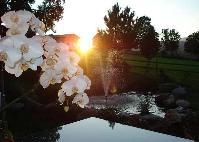 Hotel-pension Platzl Hotel Schladming