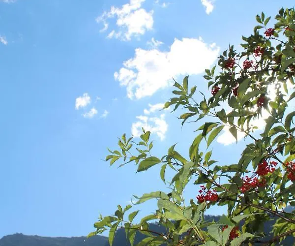 Hotel Hotel-pension Platzl 3*